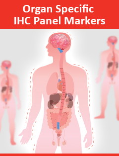 DBS Organ Specific IHC Panel Markers