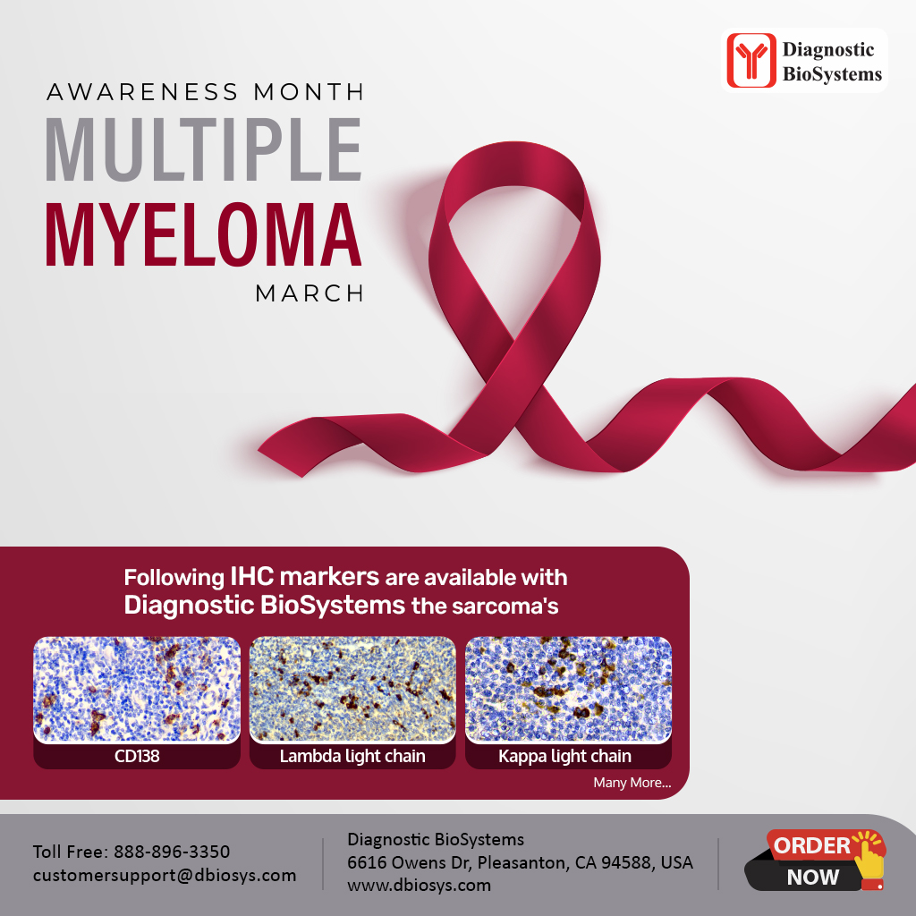 Multiple Myeloma Awareness