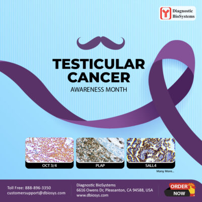 Testicular Cancer Awareness 2024