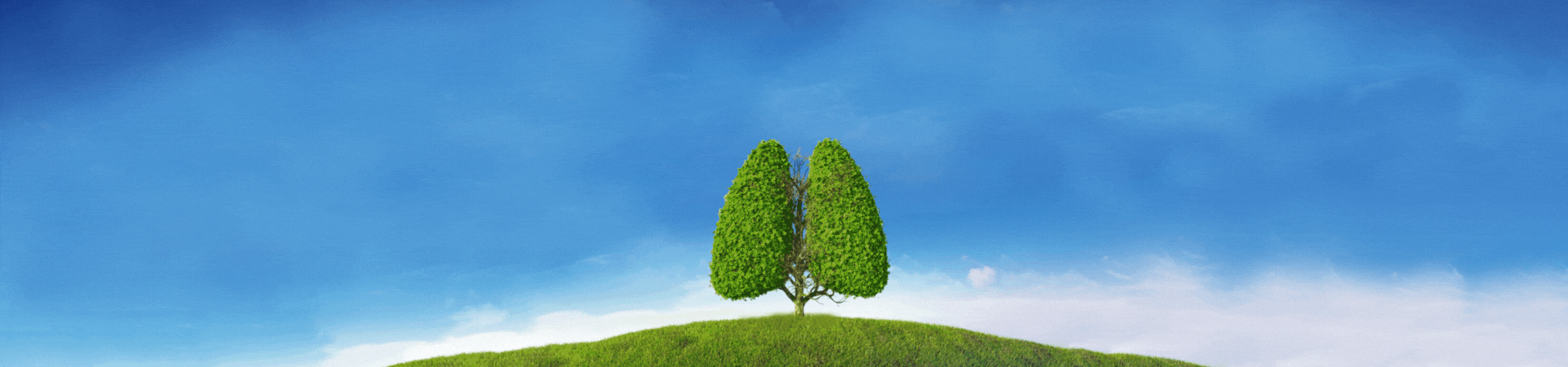 Banner Lung cancer day 2025
