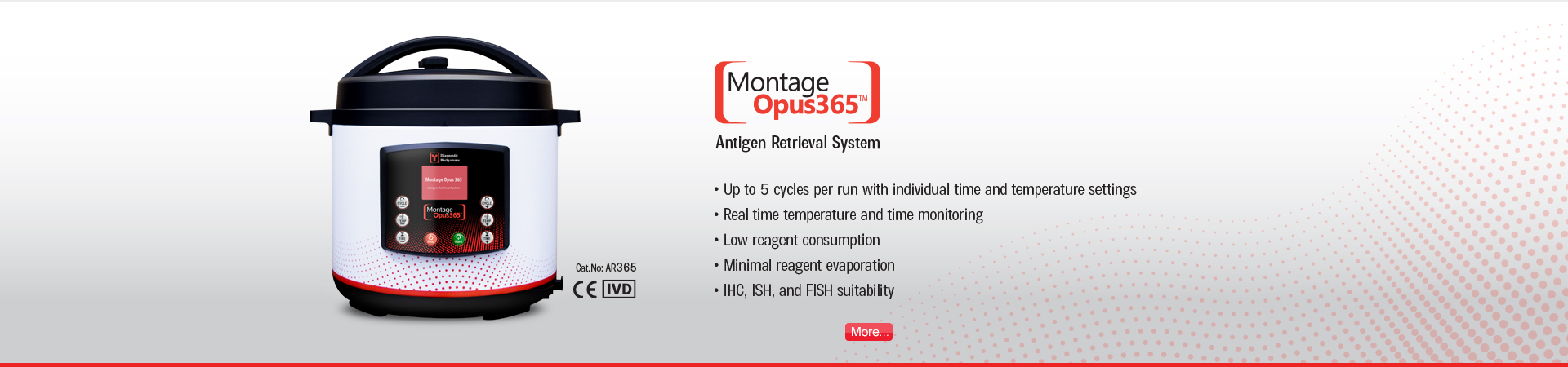 MontageOpus365