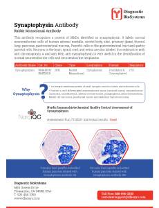 Synaptophysin2