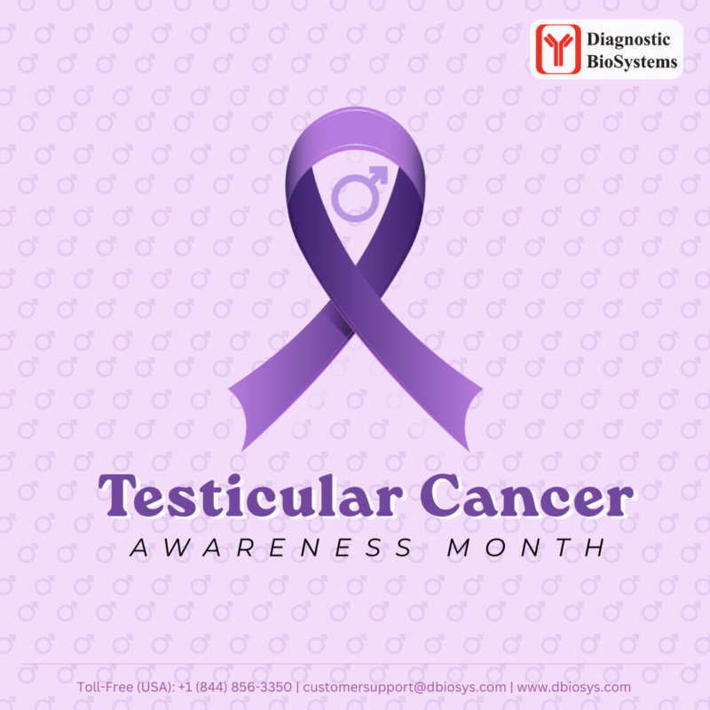 screen Testicular Cancer Awareness 2026
