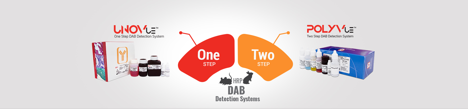 DBS Detectionsystems