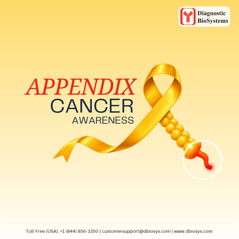 V2 Appendix Cancer Awareness 2026
